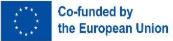 Co-funded by the European Union